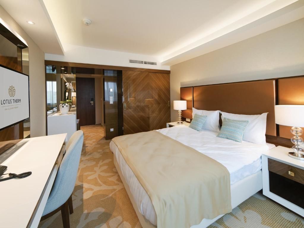 Отель Lotus Therm Spa&Luxury Resort Бэйле-Феликс-47